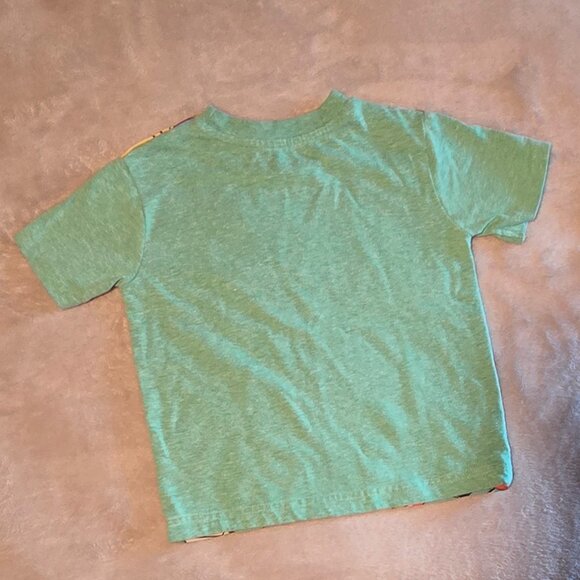 3 Ninja Turtle T-Shirts, set of 3, size 2T - Picture 3 of 6